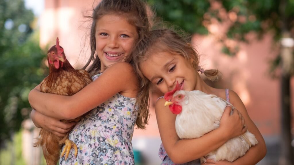 Authentic moment of two happy little smiling girls sisters are holding their hens outside the countryside house in a sunny summer day. Concept: love for animals and nature, agriculture, authenticity