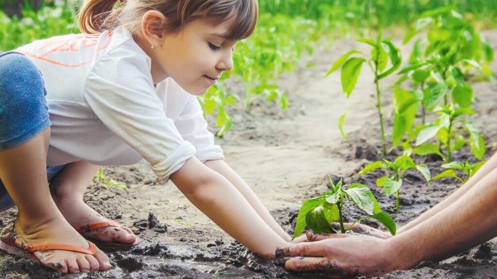 A child plants a plant in the garden