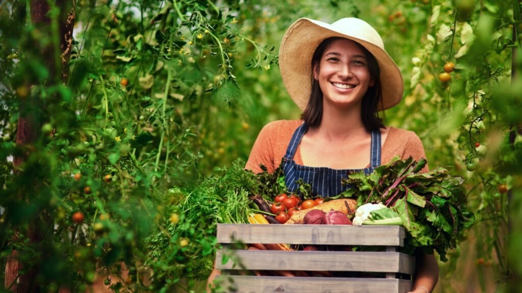 Farmer, agriculture and portrait of woman with box on farm after harvest of summer vegetables