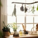 Row of bunches of dry herbs hanging on snag against window over kitchen counter with sink, teapot, green domestic plants and various kitchenware