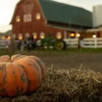 New England Autumn Jenne Farm House Red Barn Pond with Fall Foliage