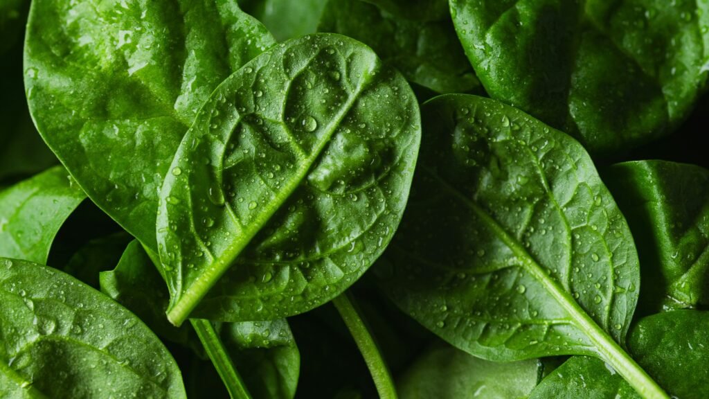 spinach