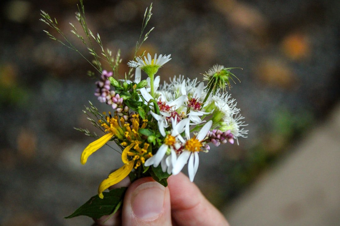 A person holding a small bouquet of flowers