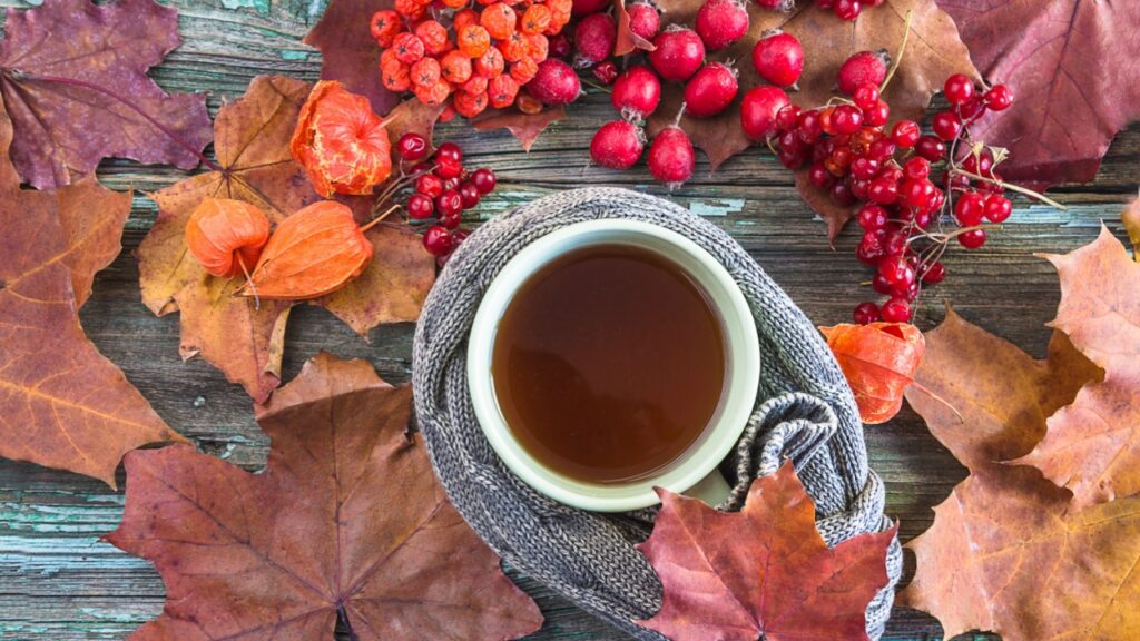 Autum season composition. Cup of tea in wool scarf, red berries and maple leaves on wooden background. Top view