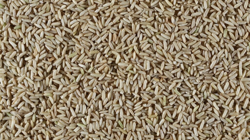 Brown rice, uncooked and hulled, background and texture, top view
