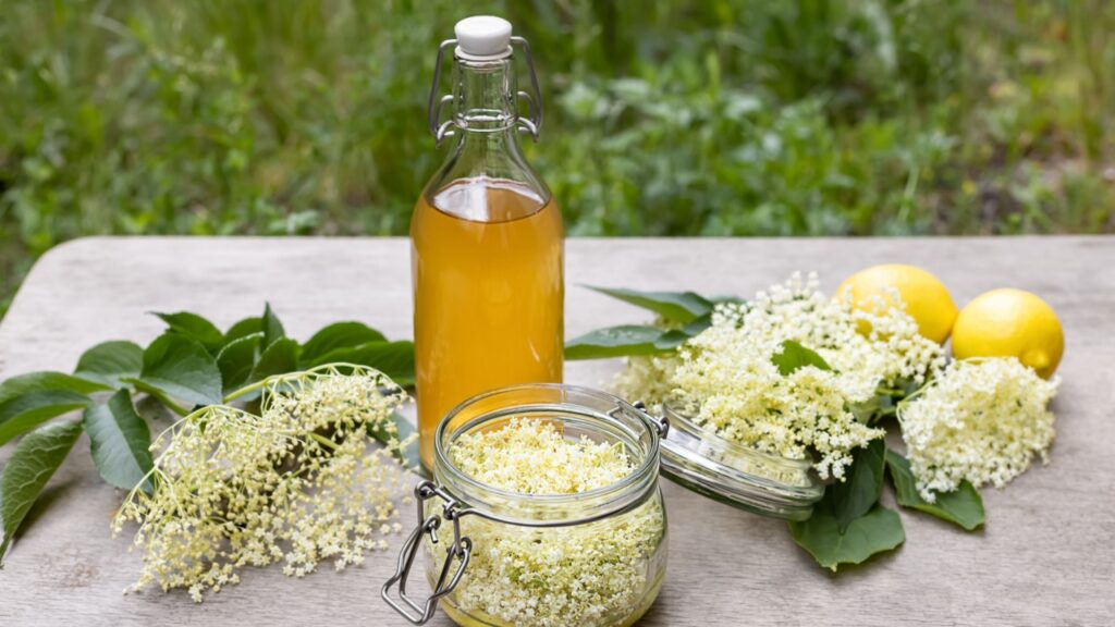 Classic elderflower cordial recipe with wild foraged elderflowers and fresh lemon juice. The easy-made base for summer lemonades, drinks, and also baking.