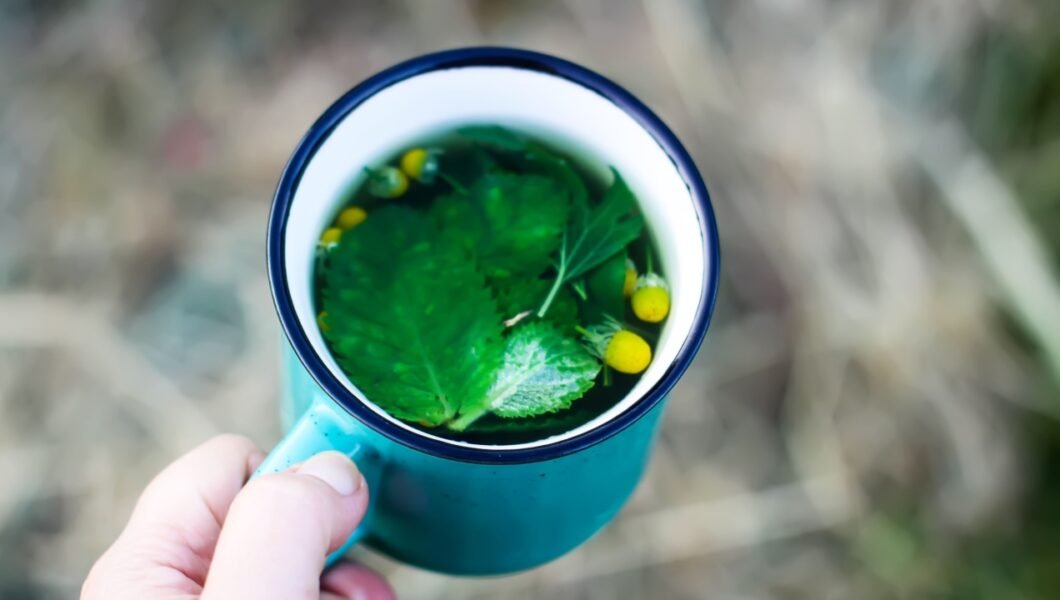 Herbal tea in ceramic tea cup with mint and black currant leaves.