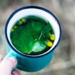 Herbal tea in ceramic tea cup with mint and black currant leaves.