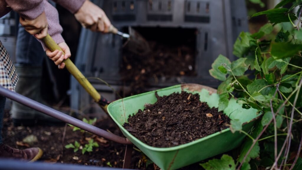 Removing compost from a composter in garden. Concept of composting and sustainable organic gardening.